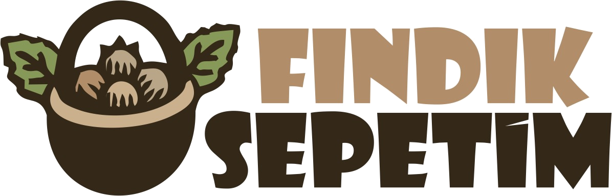 Görsel Açıklaması